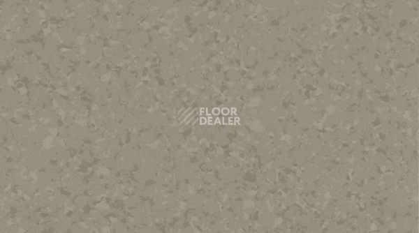 Линолеум Gerflor Mipolam Symbioz 6043 WOOD фото 1 | FLOORDEALER